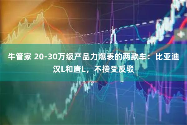 牛管家 20-30万级产品力爆表的两款车：比亚迪汉L和唐L，不接受反驳