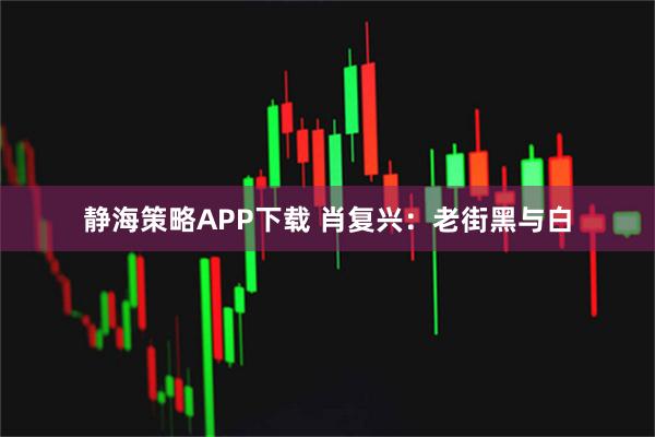静海策略APP下载 肖复兴：老街黑与白