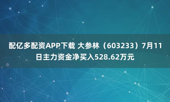 配亿多配资APP下载 大参林（603233）7月11日主力资金净买入528.62万元